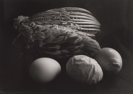 OMVISNING i særudstillingerne