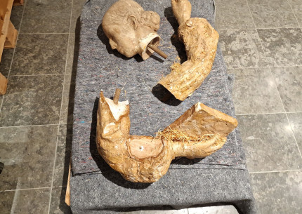 FOREDRAG | Et år i Astrid Noacks tegn