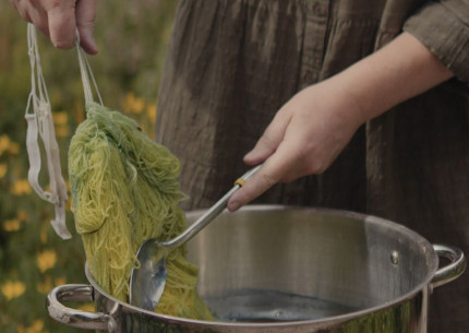 WORKSHOP | Plantefarvning med Lotte Kjær