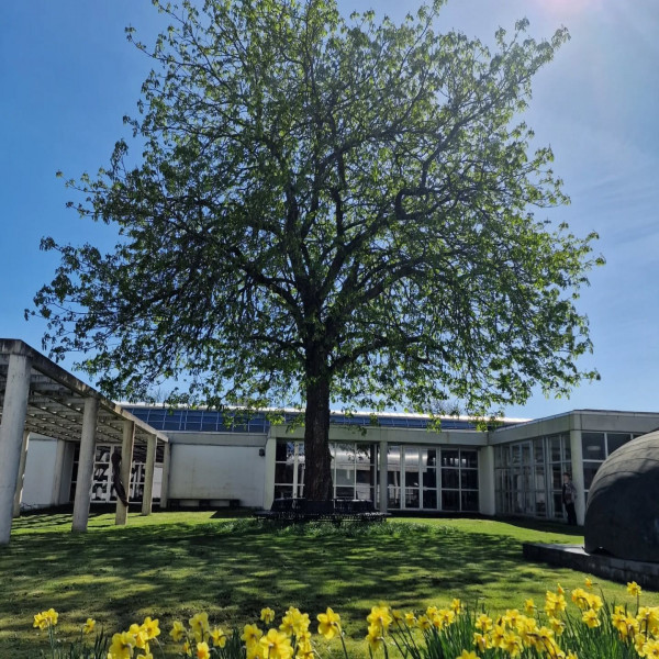 Museumscaféen